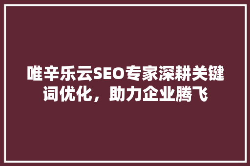 唯辛乐云SEO专家深耕关键词优化，助力企业腾飞