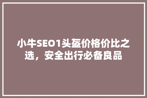 小牛SEO1头盔价格价比之选，安全出行必备良品