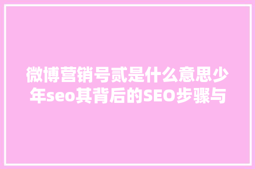 微博营销号贰是什么意思少年seo其背后的SEO步骤与营销智慧  第1张