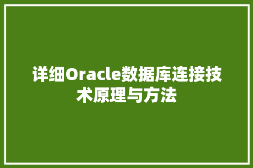 详细Oracle数据库连接技术原理与方法