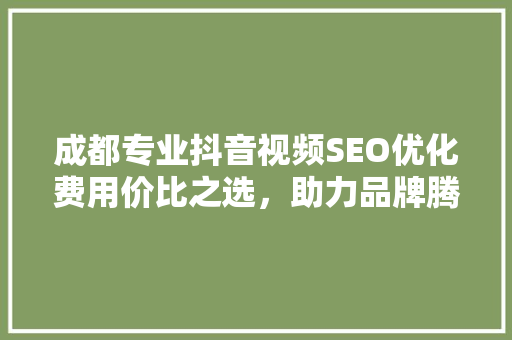 成都专业抖音视频SEO优化费用价比之选，助力品牌腾飞  第1张