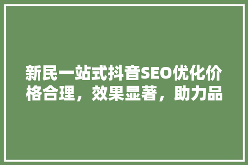 新民一站式抖音SEO优化价格合理，效果显著，助力品牌腾飞