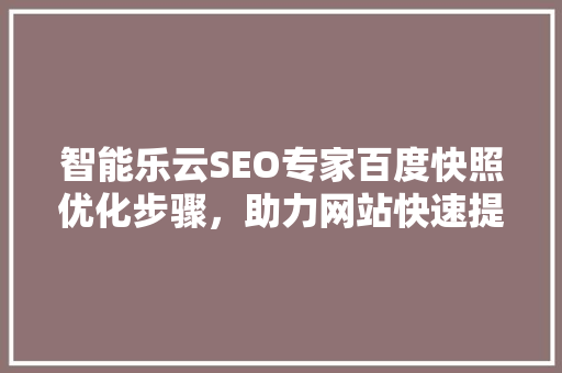 智能乐云SEO专家百度快照优化步骤，助力网站快速提升排名