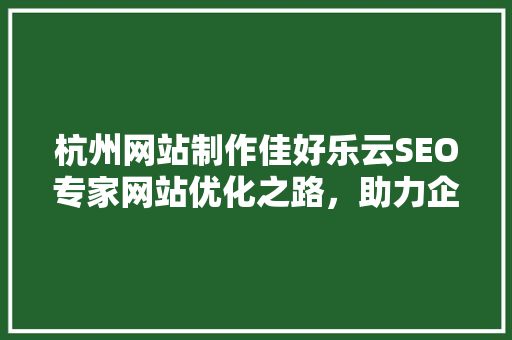 杭州网站制作佳好乐云SEO专家网站优化之路，助力企业腾飞
