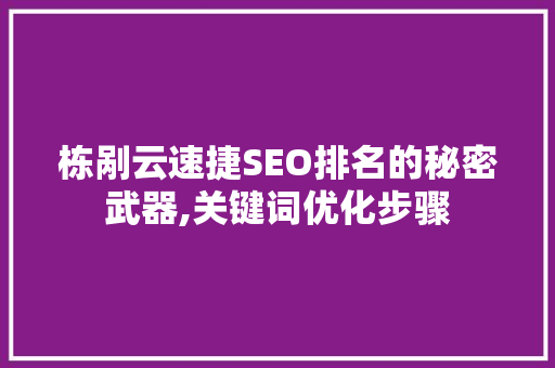栋剐云速捷SEO排名的秘密武器,关键词优化步骤
