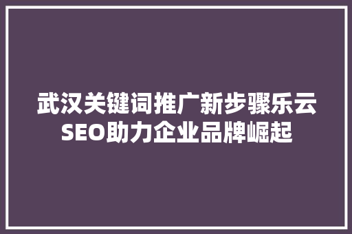 武汉关键词推广新步骤乐云SEO助力企业品牌崛起