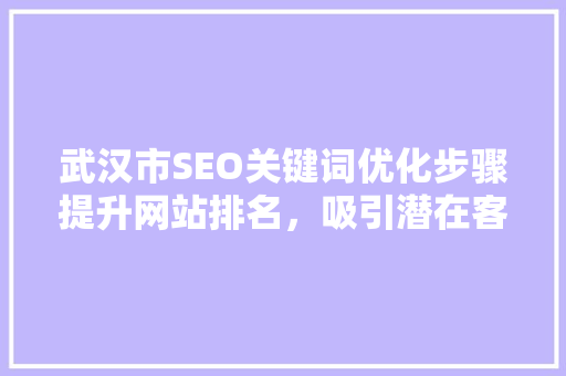 武汉市SEO关键词优化步骤提升网站排名，吸引潜在客户