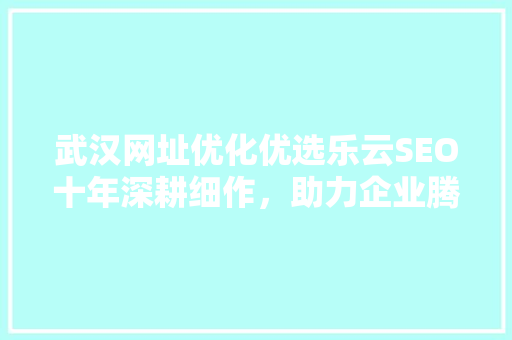 武汉网址优化优选乐云SEO十年深耕细作，助力企业腾飞