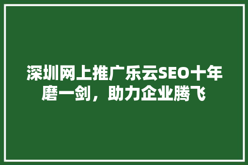 深圳网上推广乐云SEO十年磨一剑，助力企业腾飞  第1张