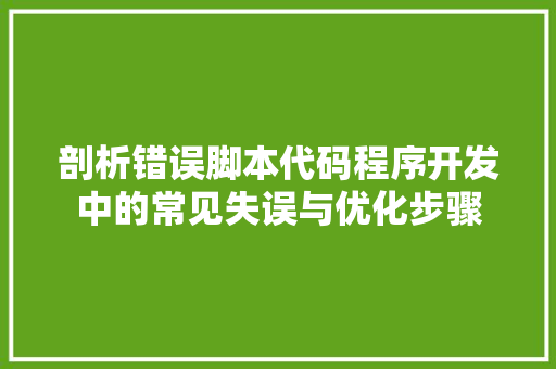 剖析错误脚本代码程序开发中的常见失误与优化步骤