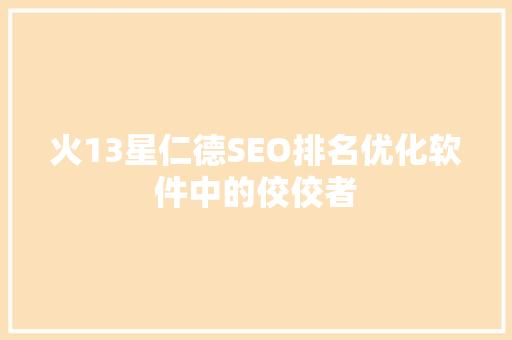 火13星仁德SEO排名优化软件中的佼佼者