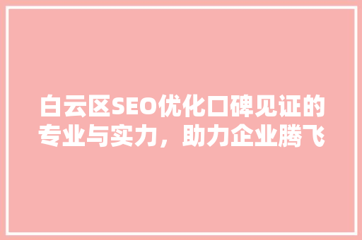 白云区SEO优化口碑见证的专业与实力，助力企业腾飞