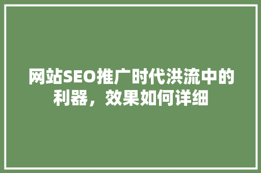 网站SEO推广时代洪流中的利器，效果如何详细