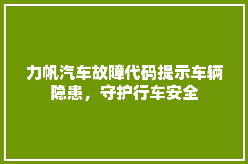 力帆汽车故障代码提示车辆隐患，守护行车安全