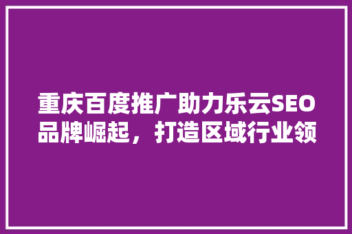 重庆百度推广助力乐云SEO品牌崛起，打造区域行业领军地位