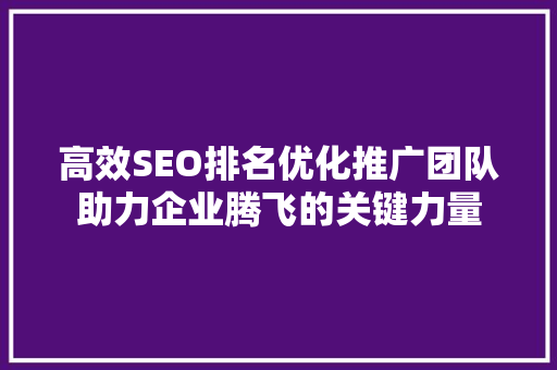 高效SEO排名优化推广团队助力企业腾飞的关键力量