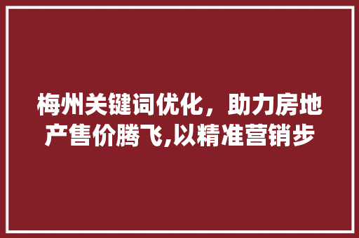 梅州关键词优化，助力房地产售价腾飞,以精准营销步骤助力市场发展_梅州关键词优化售价