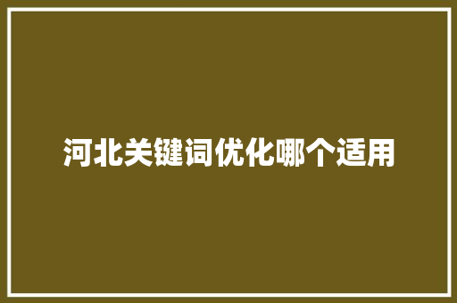河北关键词优化哪个适用