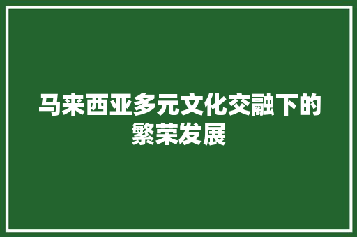 马来西亚多元文化交融下的繁荣发展