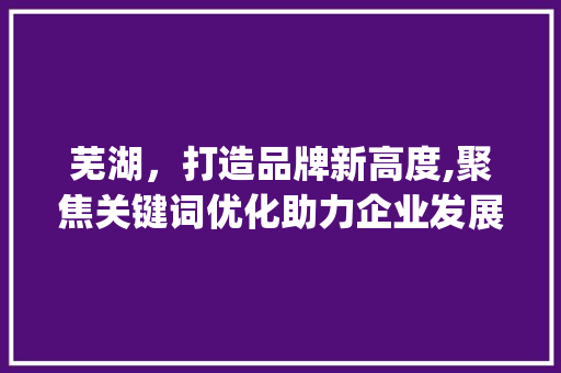 芜湖，打造品牌新高度,聚焦关键词优化助力企业发展_芜湖关键词优化品牌公司