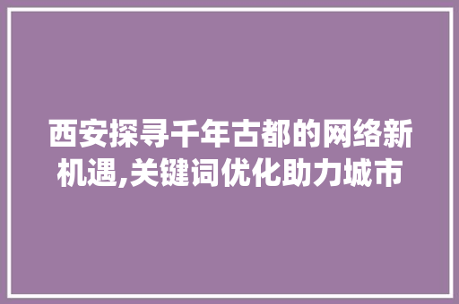 西安探寻千年古都的网络新机遇,关键词优化助力城市发展_西安网站关键词优化推荐