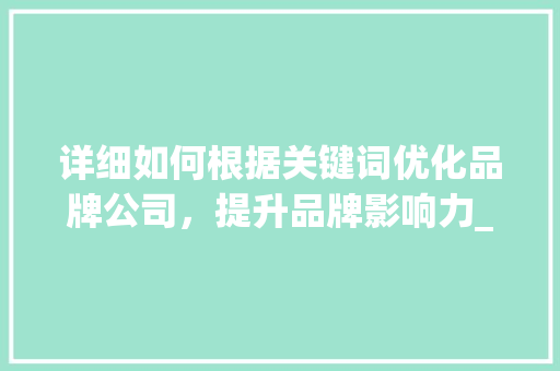 详细如何根据关键词优化品牌公司，提升品牌影响力_标题关键词优化品牌公司
