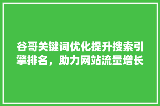 谷哥关键词优化提升搜索引擎排名，助力网站流量增长_谷哥关键词优化