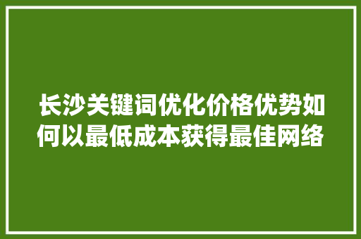 长沙关键词优化价格优势如何以最低成本获得最佳网络营销效果_长沙关键词优化价格从优