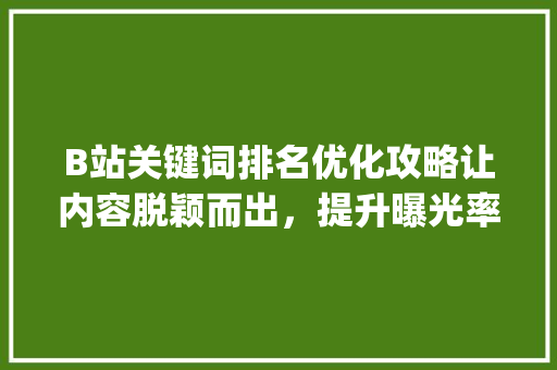 B站关键词排名优化攻略让内容脱颖而出，提升曝光率_b站关键词排名优化