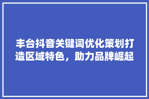 丰台抖音关键词优化策划打造区域特色，助力品牌崛起_丰台抖音关键词优化策划