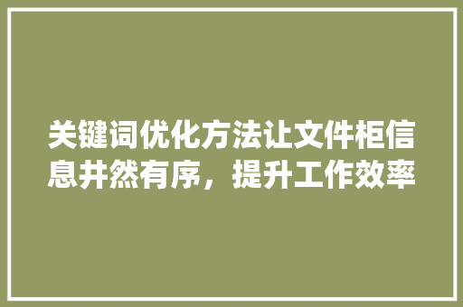 关键词优化方法让文件柜信息井然有序，提升工作效率_文件柜关键词优化方法