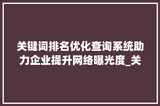 关键词排名优化查询系统助力企业提升网络曝光度_关键词排名优化查询系统