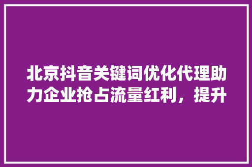 北京抖音关键词优化代理助力企业抢占流量红利，提升品牌影响力_北京抖音关键词优化代理