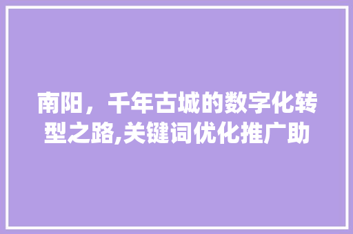 南阳，千年古城的数字化转型之路,关键词优化推广助力城市升级_南阳关键词优化推广渠道
