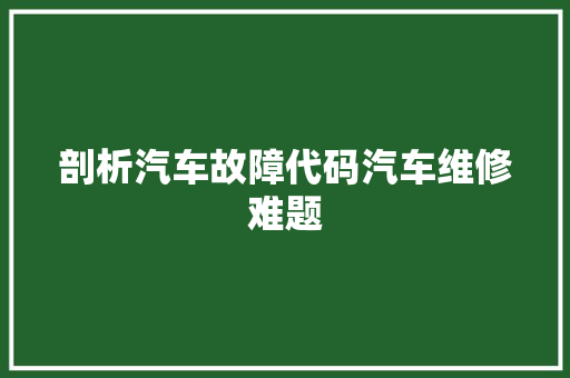 剖析汽车故障代码汽车维修难题