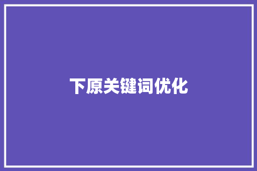 下原关键词优化