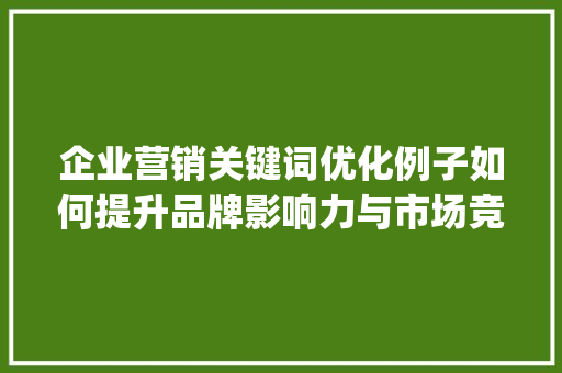 企业营销关键词优化例子如何提升品牌影响力与市场竞争力_企业营销关键词优化例子