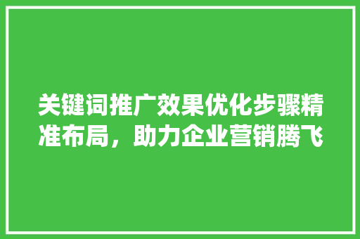 关键词推广效果优化步骤精准布局，助力企业营销腾飞_关键词推广效果优化方法