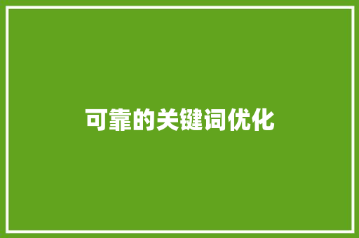 可靠的关键词优化