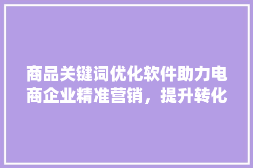 商品关键词优化软件助力电商企业精准营销，提升转化率_商品关键词优化软件