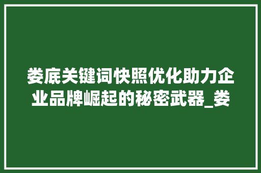 娄底关键词快照优化助力企业品牌崛起的秘密武器_娄底关键词快照优化