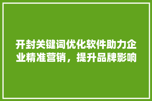 开封关键词优化软件助力企业精准营销，提升品牌影响力_开封关键词优化软件