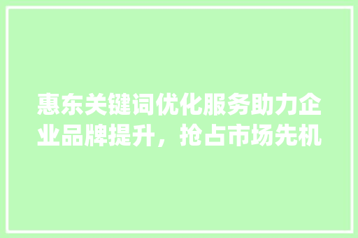 惠东关键词优化服务助力企业品牌提升，抢占市场先机_惠东关键词优化服务