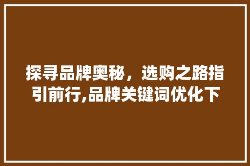 探寻品牌奥秘，选购之路指引前行,品牌关键词优化下的购物体验升级_品牌关键词优化欢迎选购