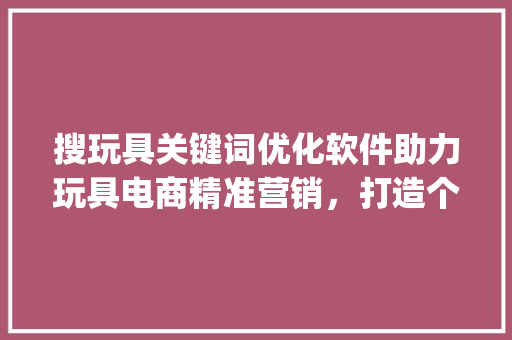 搜玩具关键词优化软件助力玩具电商精准营销，打造个化购物体验_搜玩具关键词优化软件