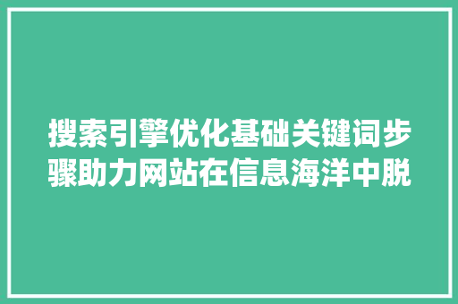 搜索引擎优化基础关键词步骤助力网站在信息海洋中脱颖而出_搜索优化基础关键词