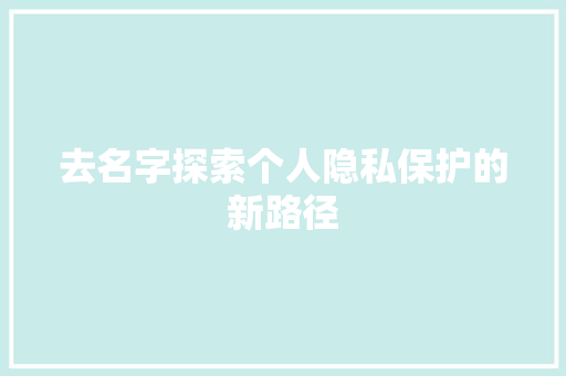 去名字探索个人隐私保护的新路径