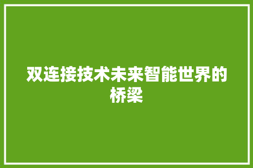 双连接技术未来智能世界的桥梁
