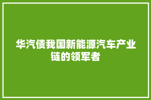 华汽债我国新能源汽车产业链的领军者