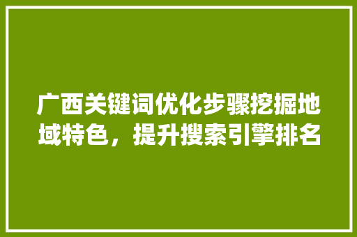 广西关键词优化步骤挖掘地域特色，提升搜索引擎排名_广西关键词优化怎么操作